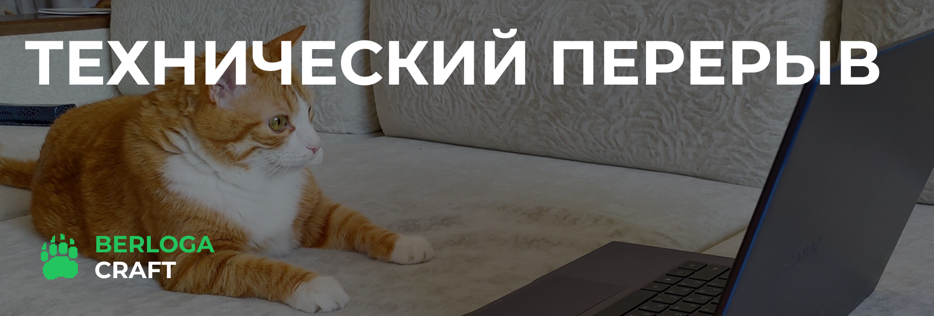 Технический перерыв